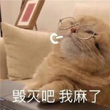 愿望都能实现