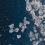 找不到我