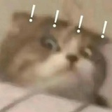 不知道取啥名字