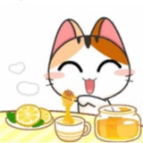 八百标兵奔北啵