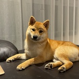 寄箱子