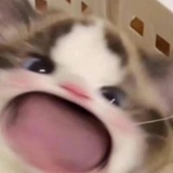七哩七哩