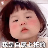 猫猫