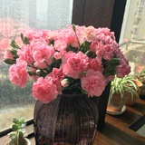 秦小蕾吃货人生