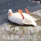 凉茶的茶