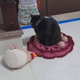 穿堂风