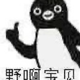 豆友141882815