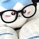 Dailynoooo