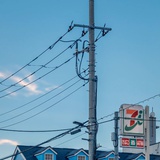 好嘞