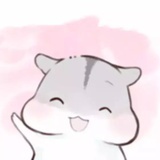 金大宝