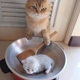 ，。？！