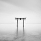 杨幕suziki