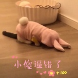 吃瓜群众