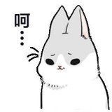 赢乖宝宝
