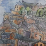 梅不胜收
