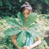 阿斌有小酒窝