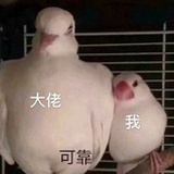 虎皮蛋糕我爱吃