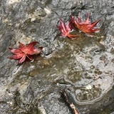 小刀