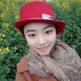 凋一眸朱颜