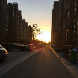 不要不要的