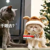 可口可乐毒唯啊