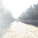 小笨