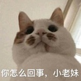 太吵啦