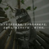 我不认识你