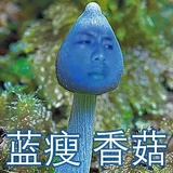 红掌花开