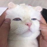十日京