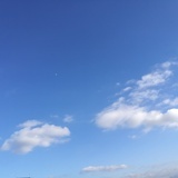 有时