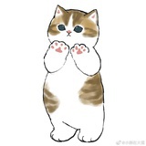 狒狒沸沸