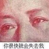 杜纸的city