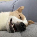 开机密码