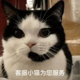 九亿分之一