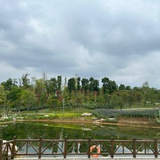 小虾米
