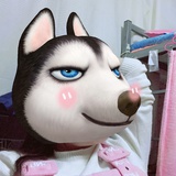 水书君心