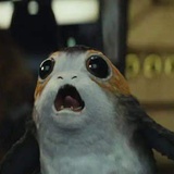 独孤博