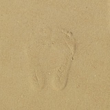 CC