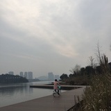 周七