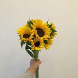 o许你一世情oo