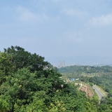西村秀树