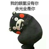 熊本熊
