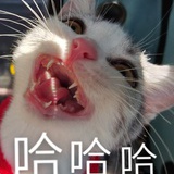 [已注销]