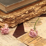 Rose3140541257