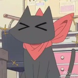 樺