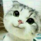 云曦