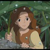 紫洋葱