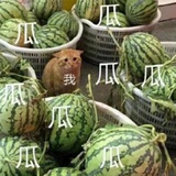 瘦成闪电
