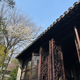 skylilimum
